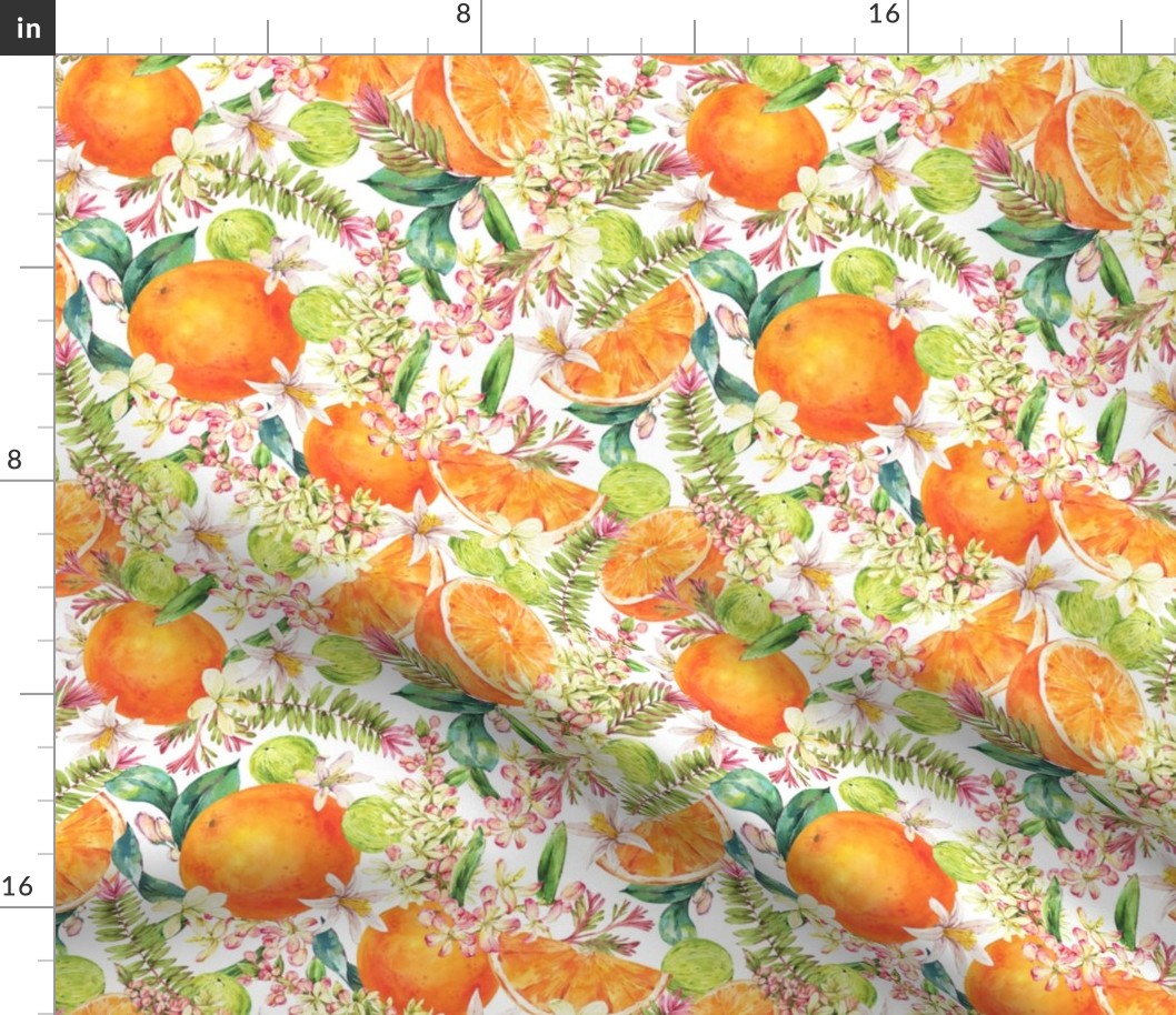 Vintage watercolor tropical orange fruit on white