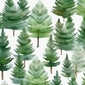 Loose Watercolor Pine Trees on White Background