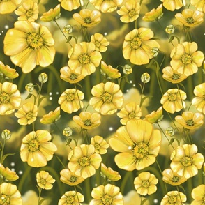 Beautiful Buttercups