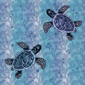 Swimming Sea Turtles