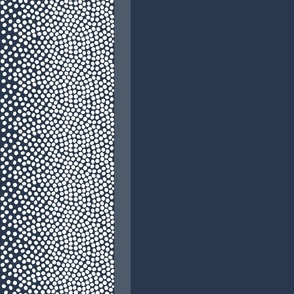 border_dots_29384c_navy_white