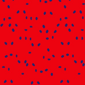 24x24 Scattered Spots royal blue on red