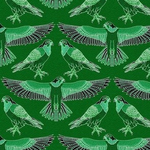 peregrine falcon Australian bird of prey - bright emerald green