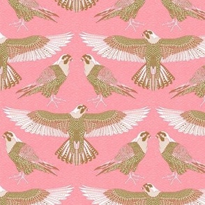 peregrine falcon Australian bird of prey - pink neutrals