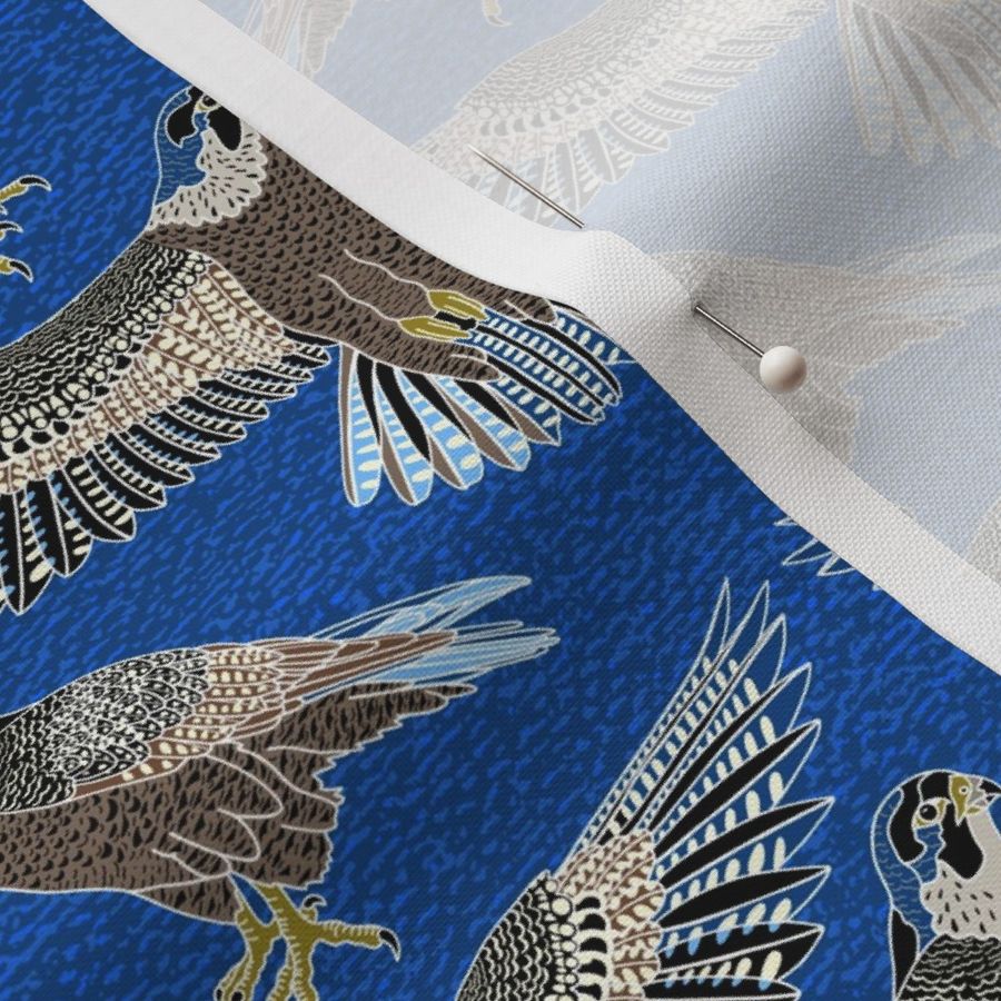 peregrine falcon Australian bird of prey - blue naturals