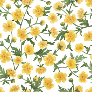  Yellow buttercups trailing floral watercolor pattern on white fabric