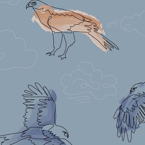 Continuous line drawing - Birds of Prey - blues, tans, and browns. Raptors, Vultures, Osprey
