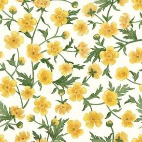  Yellow buttercups trailing floral watercolor pattern on natural white fabric