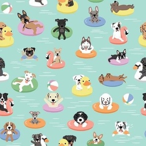 Dogs On Floaties, Medium Scale