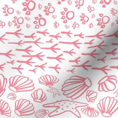 Beach Doodles (Jumbo) - Coral Pink on Bright White   (TBS105) 