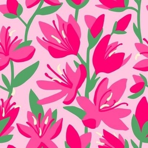 Bush Lily - Pink, Green