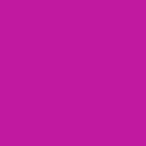 Solid Color Royal Fuchsia Pink