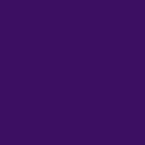 Solid Color Deep Violet Purple 