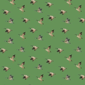watercolor geese pattern