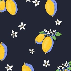 Bright cartoon lemon fruit with flowers on black