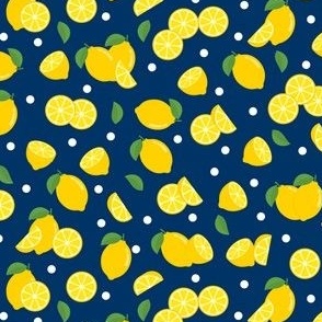 Lemon (Small) // Fruit // Citrus // Summer