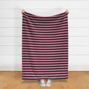 Simple Stripes in Pink and Charcoal