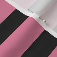 Simple Stripes in Pink and Charcoal