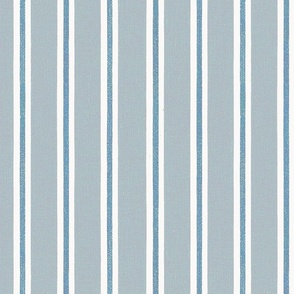 Tilney Stripe French Blue and Steel Gray