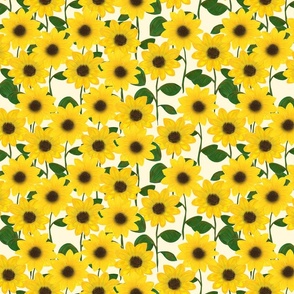 Sunflower Power