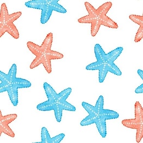 Starfish in Turquoise & Peach on White Background