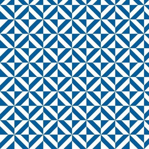 Blue Diagonals in squares