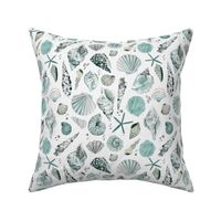 Coastal Sea shells Coastal reef Shellfish watercolor Aquamarine Nautical Small 