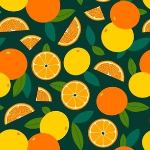Citrus Slices - Orange, Yellow, Green