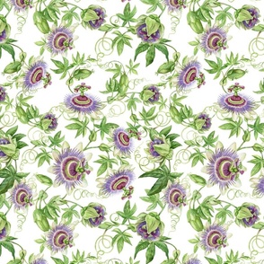 10" Exotic Watercolor Hand Painted Wildest Passionflowers Meadow-  white-      for home decor Baby Girl and tropical nursery fabric perfect for kidsroom wallpaper,kids room