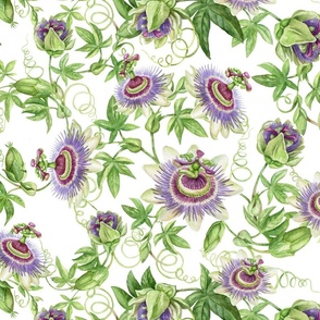 Turned left 21" Exotic Watercolor Hand Painted Wildest Passionflowers Meadow-  white-      for home decor Baby Girl and tropical nursery fabric perfect for kidsroom wallpaper,kids room