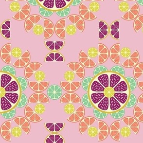 Tropical Fruits - Citrus Fruit Slices - Tiles - Boho Floral - on Pink