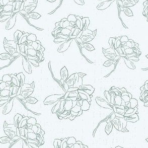 Hand-drawn Peonies on light blue fabric