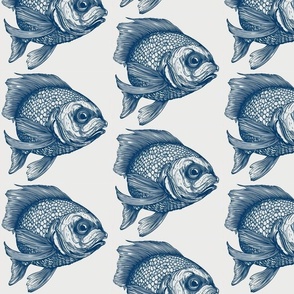 Blue Fish #1