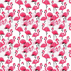 Flamingos #1