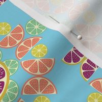 Citrus Fruits - Grapefruit - Oranges - Lemons - Limes - Boho Floral - on Aqua Blue