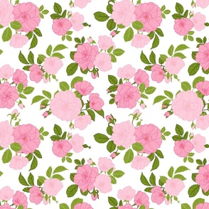wild_rose_mixed_pink_pattern_1