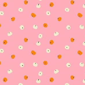 Cream and orange tossed small pumpkins on pink