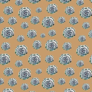 watercolor succulent with neutral background for spoonflower-01