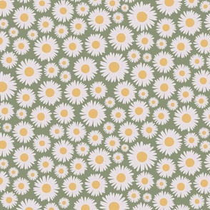 Medium white daisy print on green background