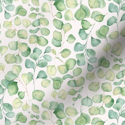 10" Exotic Watercolor Hand Painted Eucalyptus Meadow-   white-for home decor Baby Girl and tropical nursery fabric perfect for kidsroom wallpaper,kids room