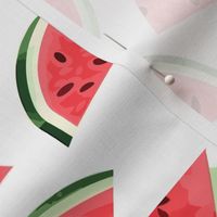 Watermelon Juicy Slice