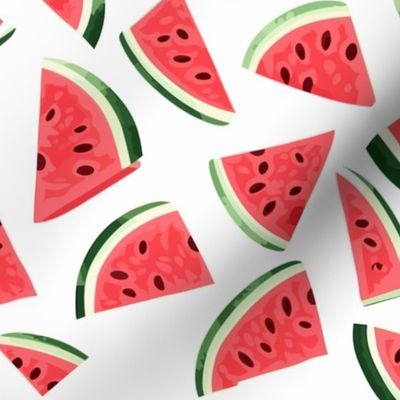 Watermelon Juicy Slice