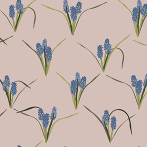 grape hyacinth dusk