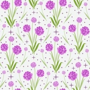 Sweet Purple Pink Allium Dreams on Off White Background: Small