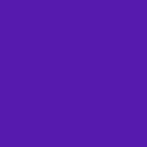 Purple indigo solid - Spooky treats bright