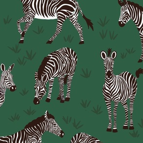 Zebra Party - Evergreen