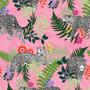 Pink jungle leopard