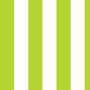 Stripes Green and White v