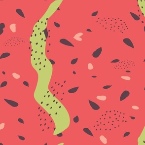 Abstract Watermelon Pattern