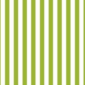 bright green stripes